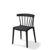 Windson Black